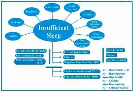 Insufficient sleep and its impact on the pathophysiology of the human body.